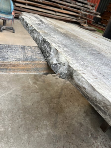 Beautiful Puriri Timber Slab – Rare NZ Native Hardwood (210 × 50/48 × 5.5 cm)62931719496323114