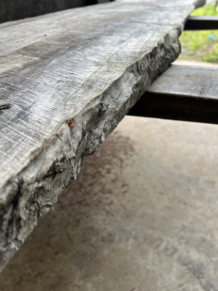 Beautiful Puriri Timber Slab – Rare NZ Native Hardwood (210 × 50/48 × 5.5 cm)62931719496323113