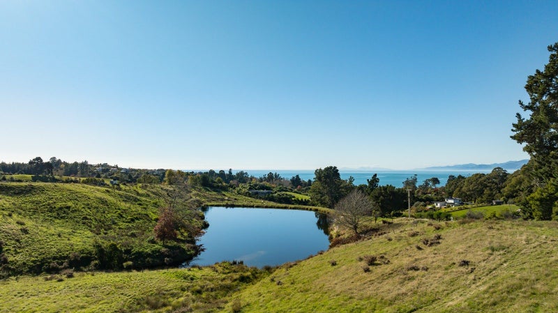 Image 3 of 47