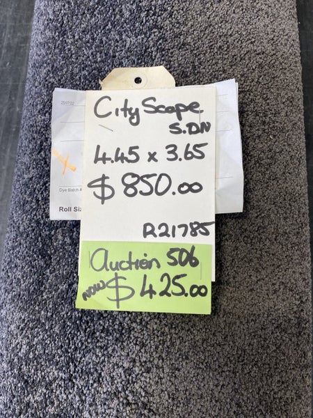 Auction 506 , 4.45 x 3.65 metres nylon cut pile carpet. Carousel 1