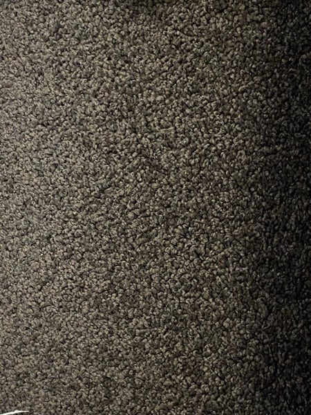Auction 504 , 7.45 x 3.65 metres nylon cut pile carpet. Carousel 2
