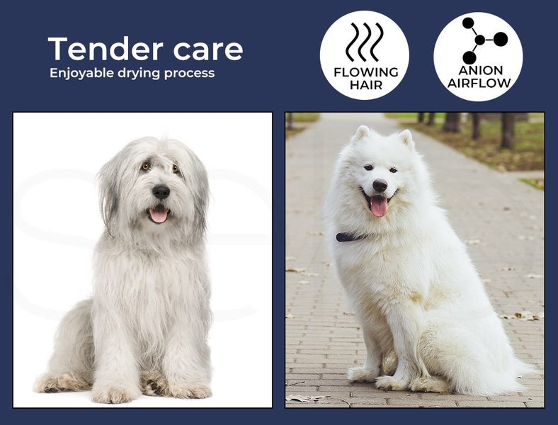 Pawz Pet Hair Dryer Dog Cat Led Grooming Hairdryer Blower Heater Low Noise 3200W Carousel 2