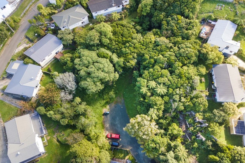 Development Potential Plus!63612917687169113