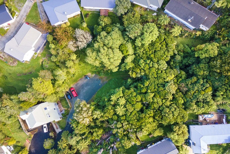 Development Potential Plus!63612917687169114