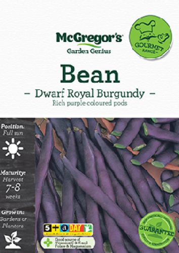 McGregor's Bean Dwarf Royal Burgundy Specialty Seeds Packet Carousel 1