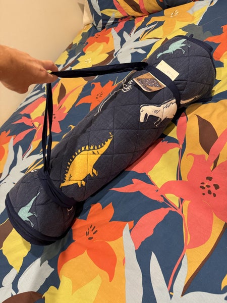 Toddler nap mat/carry bag Carousel 2