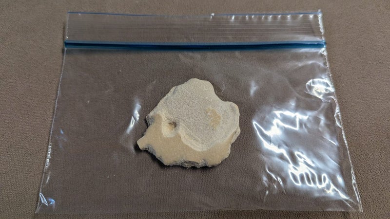 Weirdest Nutrigrain Ever? Carousel 2