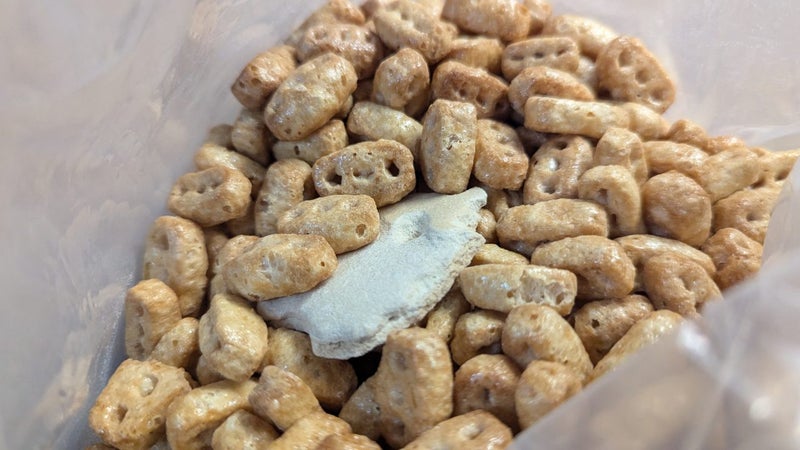 Weirdest Nutrigrain Ever? Carousel 1