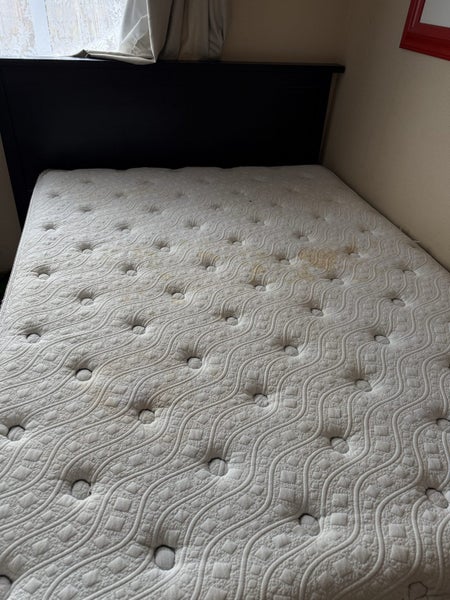 Bed queen62934724744067112