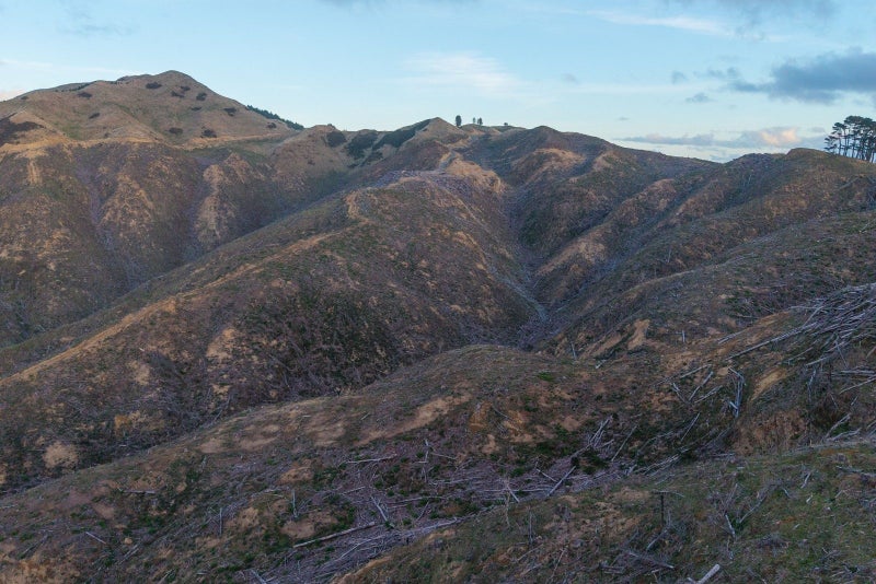 Image 2 of 19