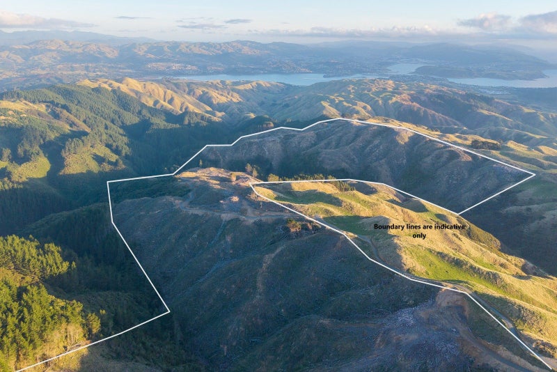 Large-Scale Land Holding with Views and Potential63612925211523114