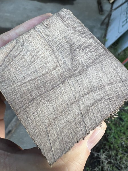 Black Maire Timber – 2.9m Total (2 Pieces: 55x55mm)63001622754179112