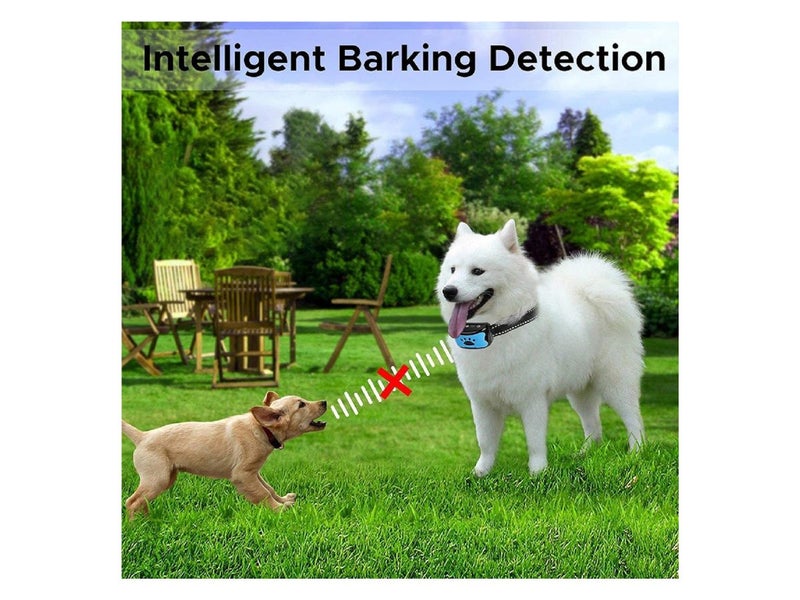 Dog Training Collar Clearance Clearance Carousel 7