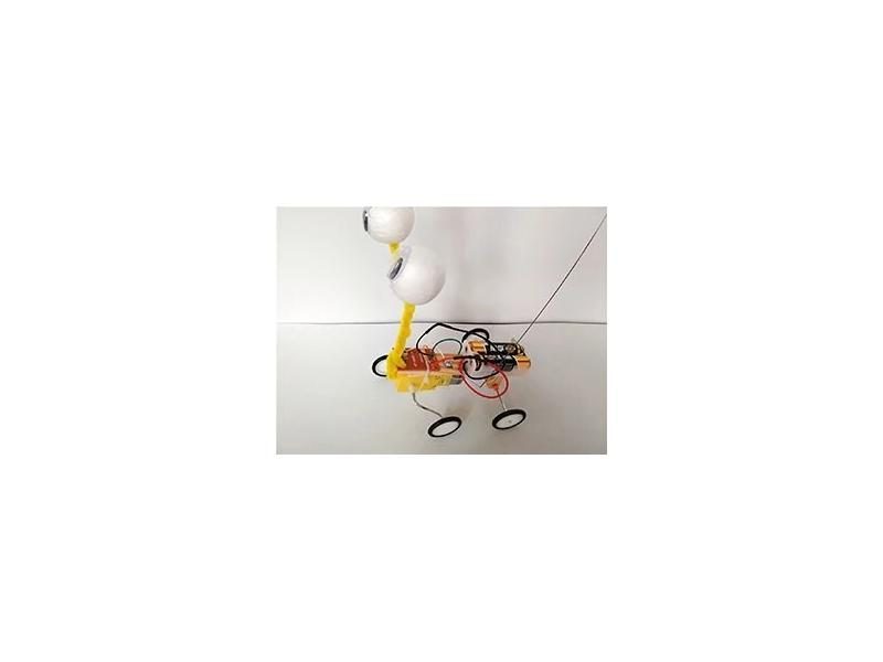 Toy DIY Science Experiment Remote Control Robot Reptile Model Kit For Kids Carousel 1