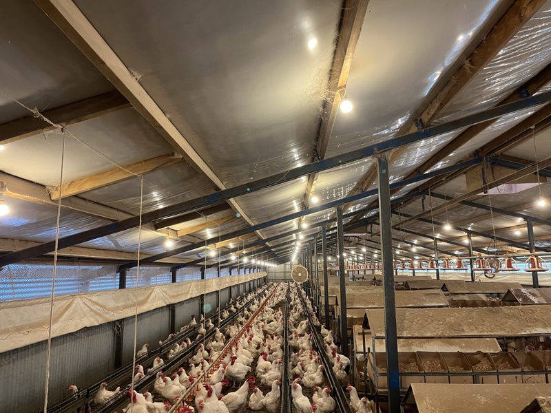 Barn shed - Expressions of interest 55m x 14m62934725661699111