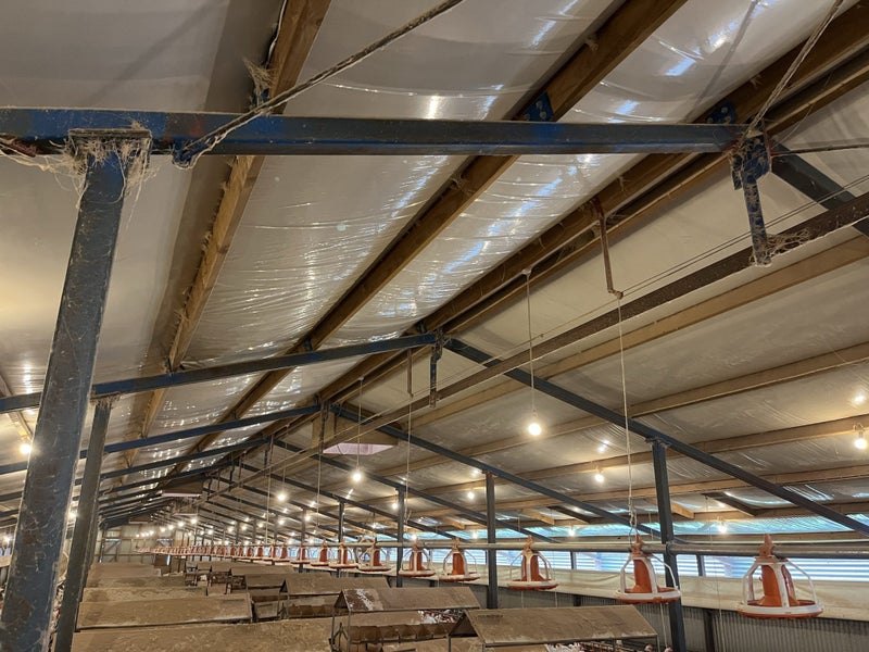 Barn shed - Expressions of interest 55m x 14m629347256616991120