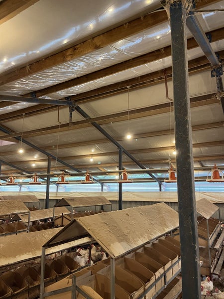 Barn shed - Expressions of interest 55m x 14m62934725661699114