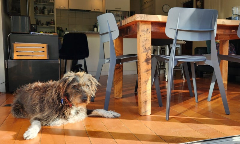 Classic 1950s Inspired Bauhaus Chairs – Stackable & Lightweight62937635555201114