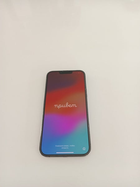 iPhone 13 Pro Max62983258330115111