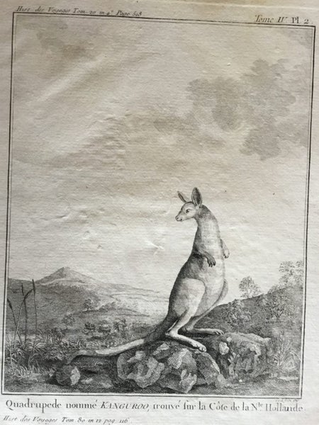 Hippah or place of Retreat.Kangaroo. 1773 Sydney Parkinson. Cook's voyages Carousel 6
