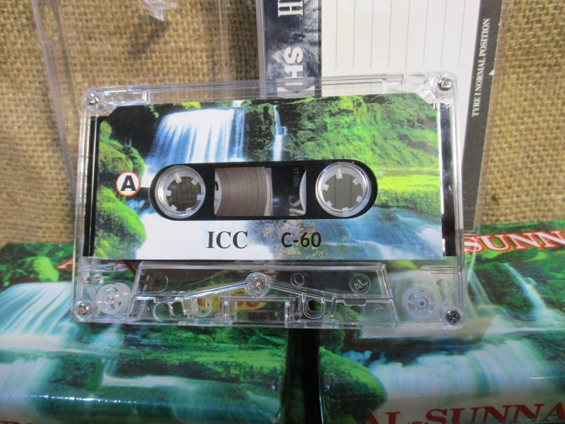 11 blank C-60 audio cassette tapes Carousel 2