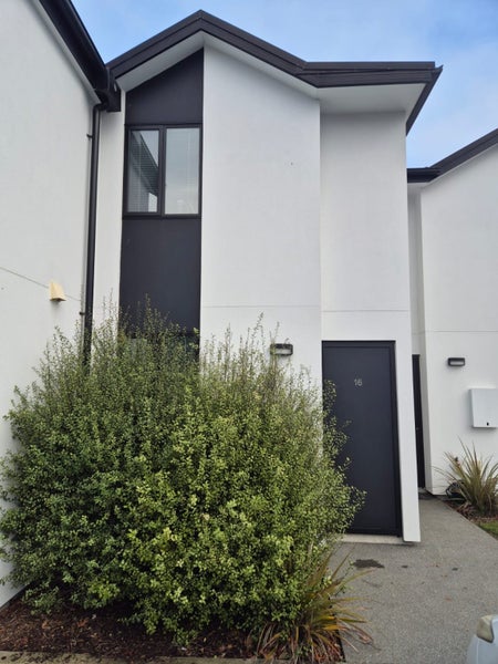 Sydenham, 1 bedroom62950954873731119