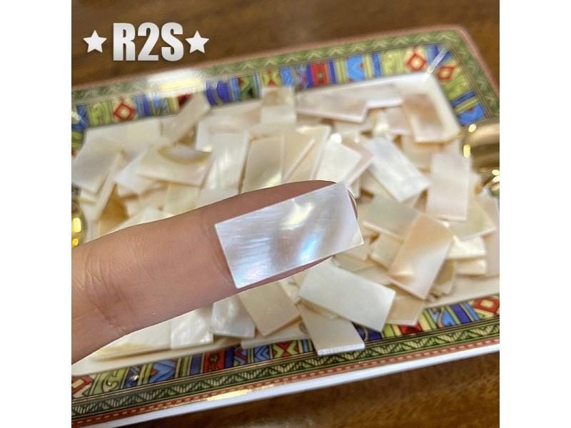 50pcs Rectangle FanshapePure White Color Shell Mother Of Pearl Mosaic Tile For Carousel 1