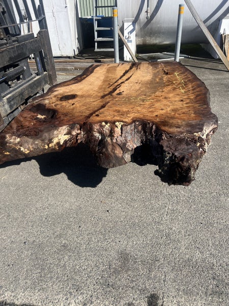 Ancient Swamp Kauri Slab – 2200 x 1500 x 200mm Rare Ancient Timber63003355135107113