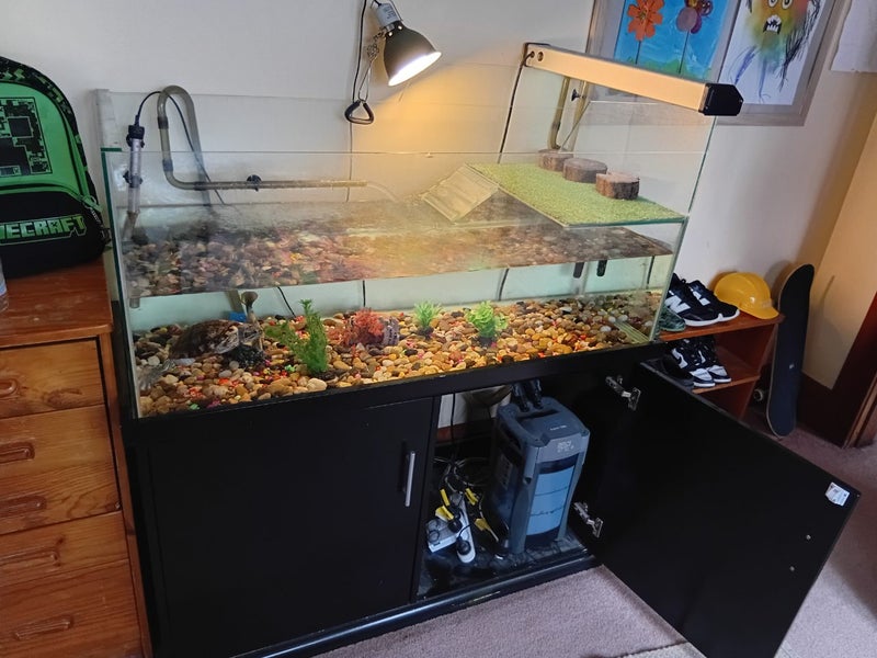 Complete Turtle setup Carousel 2