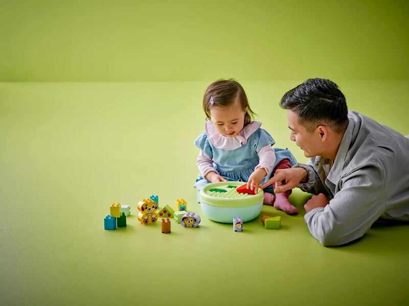 Lego Duplo Shape Sorter: Puppy House 10441 Carousel 5