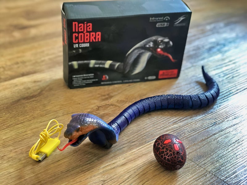 Remote Control Naja Cobra Snake Carousel 1