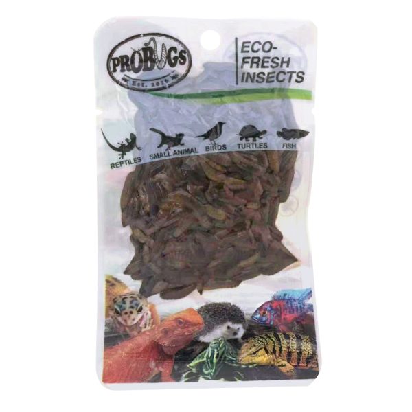Black Soldier Fly Larvae (BSFL) - ProBugs reptile Carousel 1
