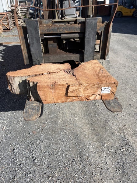 Solid Swamp Kauri Stump Piece Slab – Ideal for Woodworking Side Table Carousel 1