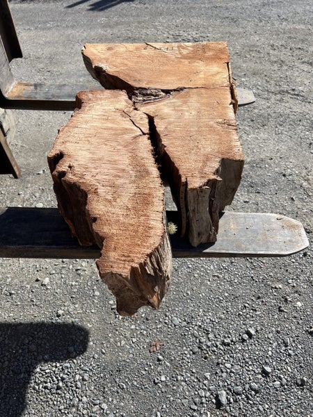 Solid Swamp Kauri Stump Piece Slab – Ideal for Woodworking Side Table Carousel 2