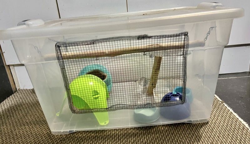 Mouse Mouse Cage with accessories- cat proof Carousel 1