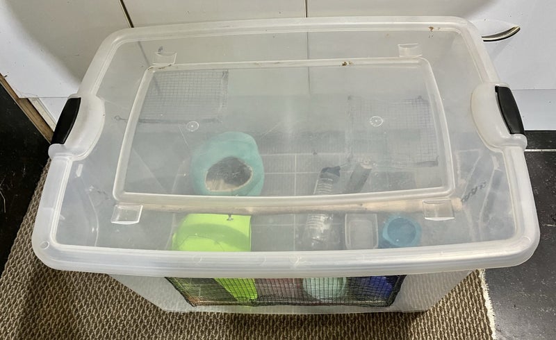 Mouse Mouse Cage with accessories- cat proof Carousel 2