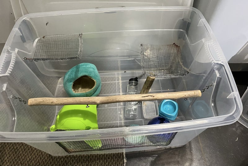 Mouse Mouse Cage with accessories- cat proof Carousel 4