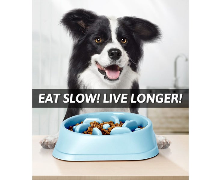 Blue Pet Bowl Dog Slow Feeder Fun Bloat Maze Interactive Food Healthy Eating Carousel 6