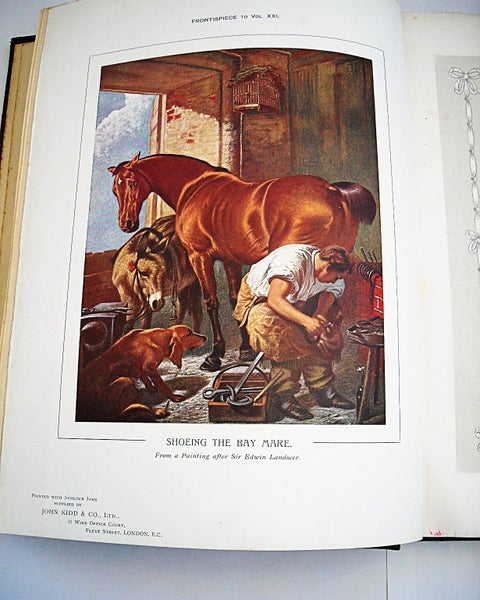 The British Printer Vol. XXI - 1908.62972918769026112