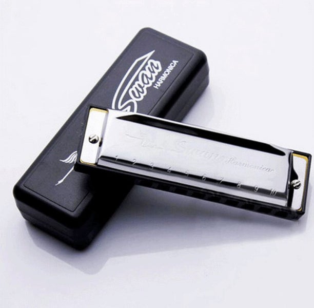 Harmonica 10 Holes Key of C for Blues Rock Jazz Folk + Case Silver Carousel 1
