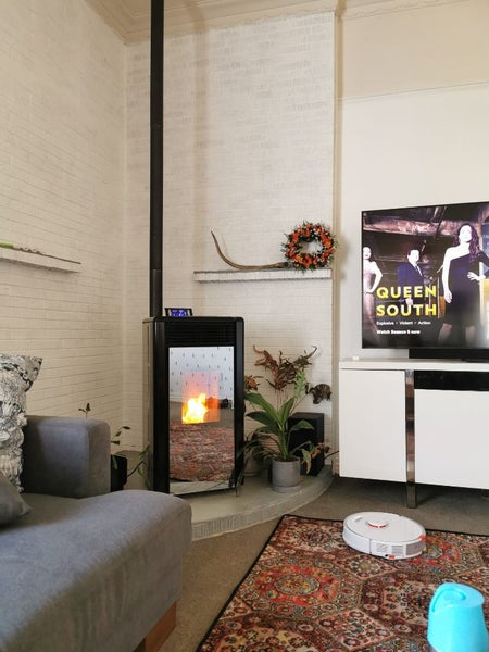 Pellet fireplace or burner62983257932163114
