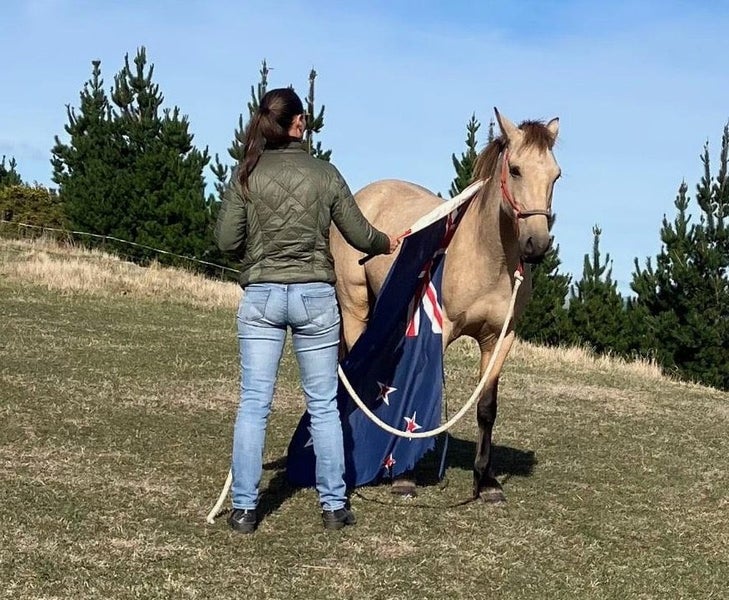 East Coast Buckskin Gelding.62999009232002112