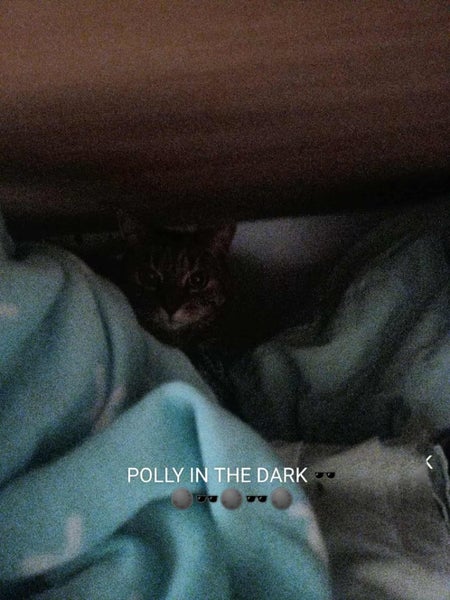Polly Carousel 2