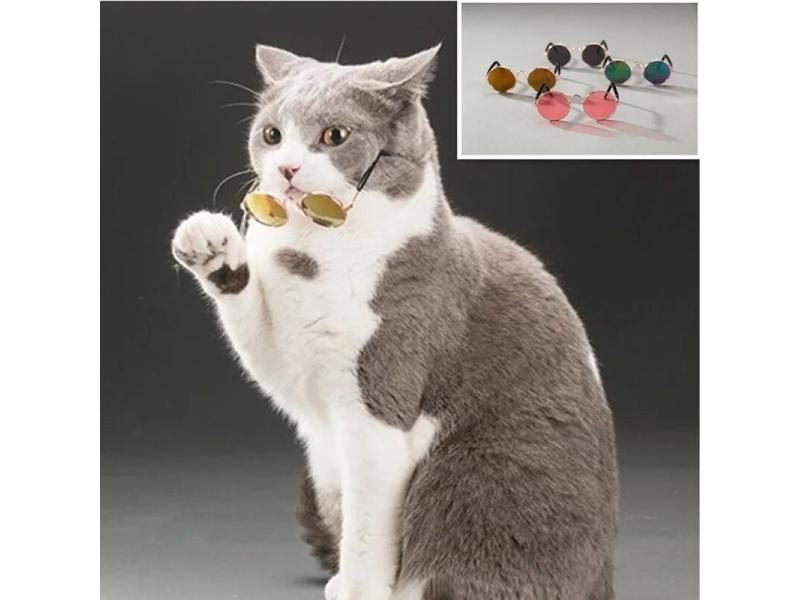 1PC Random Color Cat Glasses For Grooming Pet Photos Protection Carousel 1
