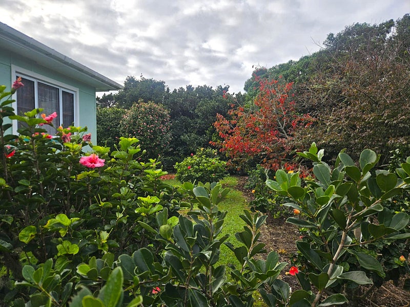 Image 2 of 27