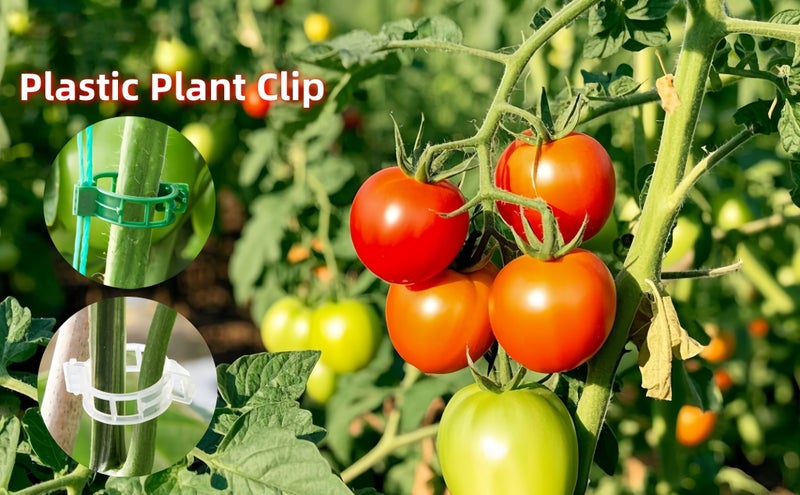 300 Pcs Plant Support Clips,Plastic Clips for Securing Plants,Tomato Vine Clips Carousel 1