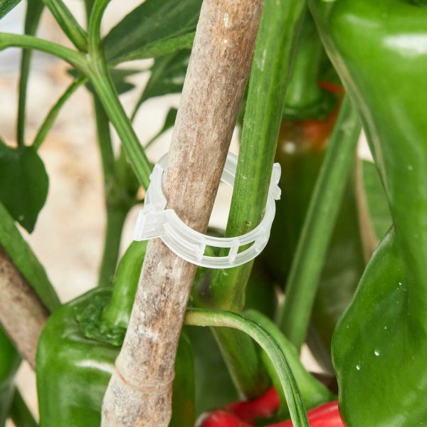 300 Pcs Plant Support Clips,Plastic Clips for Securing Plants,Tomato Vine Clips Carousel 13