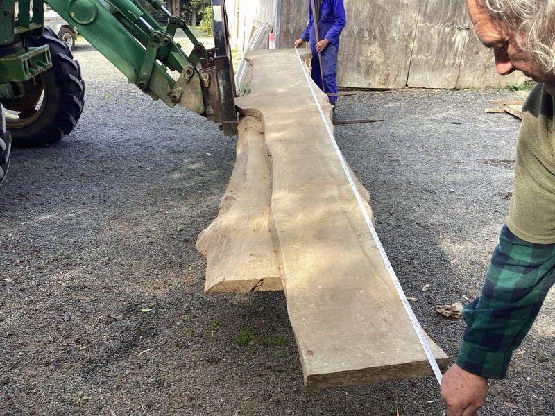Kauri Timber Slabs62998150182530113