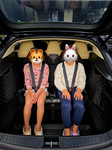 2015 Tesla Model S63612526760321114