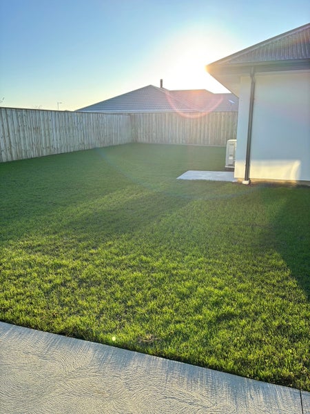 Image 1 of 14